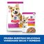 12 sobres x 80 g Hill's Science Plan Adult Small & Mini Estofado de Pollo Sobres para perros ¡Pack ahorro!, , large indicador imagen numero 6